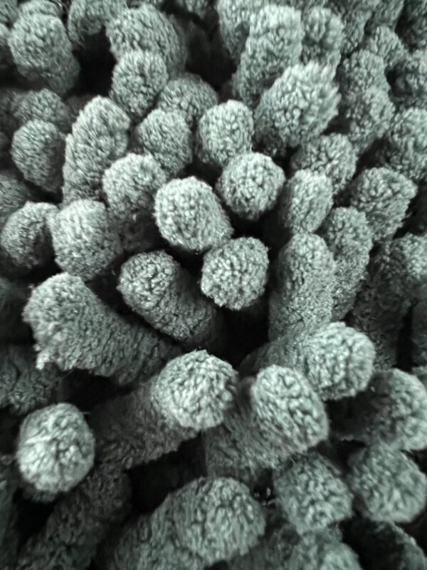 detailworx - Chenille Waschhandschuh – Bild 2
