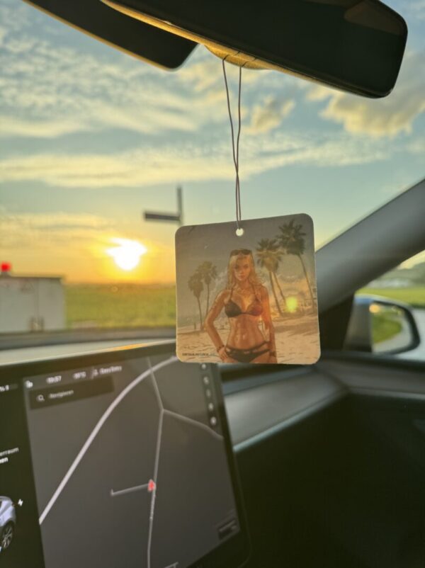 detailworx - Bikini Air Freshener